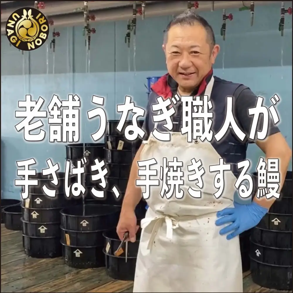 【愛知県産】特大うなぎの蒲焼き(きざみ)