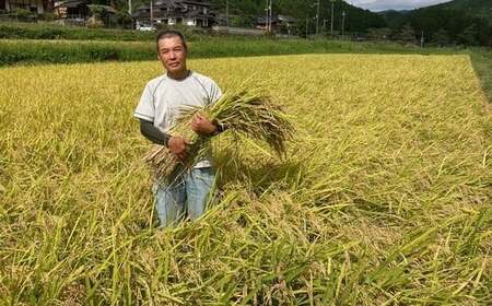 令和7年度産 京都丹波産 コシヒカリ米 精米 (5kg×2セット) ふるさと納税 福知山市 米 精米 コシヒカリ こしひかり 【fc-DF002】【スミちゃんファーム】
