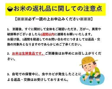 令和6年産 秋田県湯沢市産 あきたこまち 精米 300g(2合)×3袋 ふるさと納税 秋田 米 あきたこまち お米【三関ファーム】[A15701]