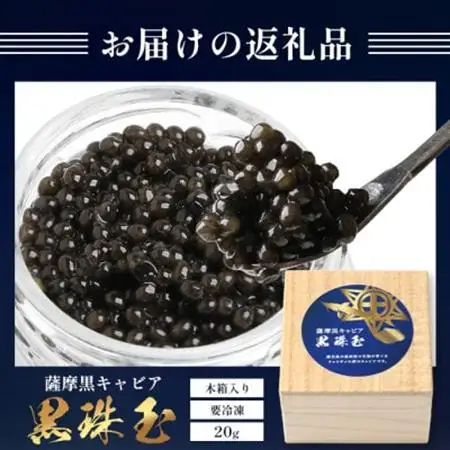 【数量限定】薩摩黒キャビア黒珠玉 鹿児島水産高校 枕崎キャビア【木箱入り】【20g×1箱】 C3-2【配送不可地域：離島】【1614940】
