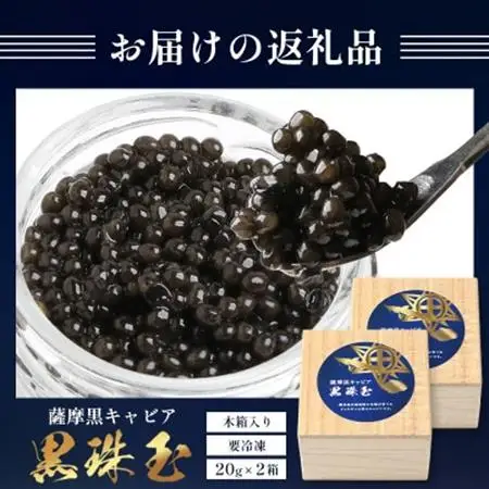 【数量限定】薩摩黒キャビア黒珠玉 鹿児島水産高校 枕崎キャビア【木箱入り】【20g×2箱】 F5-3【配送不可地域：離島】【1614944】