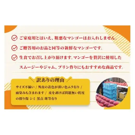 【先行予約】2026年発送　沖縄県宮古島・完熟マンゴー2kg【ご家庭用】ティダマンゴー宮古島農園（AI003）