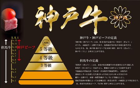神戸牛(神戸ビーフ) お肉三昧セット　1500ｇ