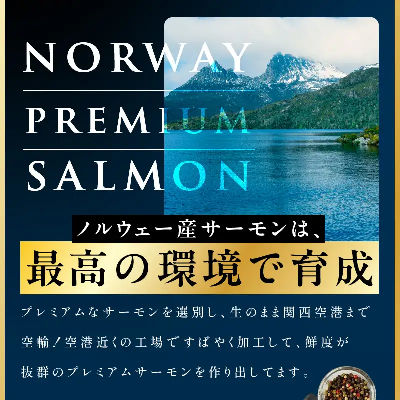 【ふるなび限定】極上サーモン 1kg サーモン FN-Limited-PR
