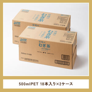 サンA 宮崎のむぎ茶 500ml PET 18本入り×2ケース【 お茶 麦茶 宮崎県産 ペットボトル 】