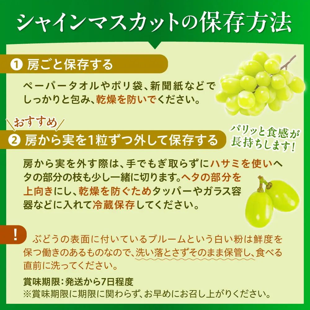 ぶどう シャインマスカット 2房 1.2kg 秀品 令和8年産 ぶどう