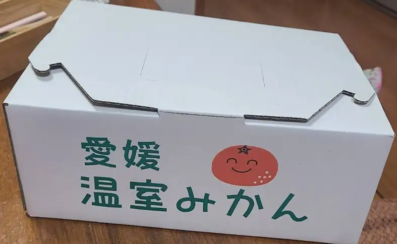 【2026年先行予約】みかん 愛媛 グリーンハウスみかん 温室みかん 2kg 【8月上旬から順次発送予定】 夏 数量限定 柑橘 フルーツ 伊予市｜B441