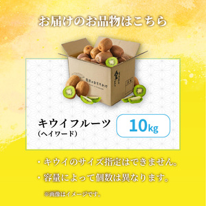 キウイフルーツ ヘイワード 10㎏ サイズ混合 家庭用 【先行予約 2026年10月下旬から発送】 | きうい 果物 キウイくだもの フルーツ おすすめ 人気 お取り寄せ グルメ ギフト 期間限定 数量限定 ご当地 愛媛県 松山市 【RNK0201】