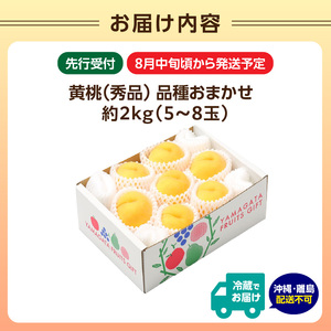 《先行受付》★黄桃（品種おまかせ）★ 約2kg(5～8玉) 秀品 【2026年8月中旬頃～発送予定】 063-003