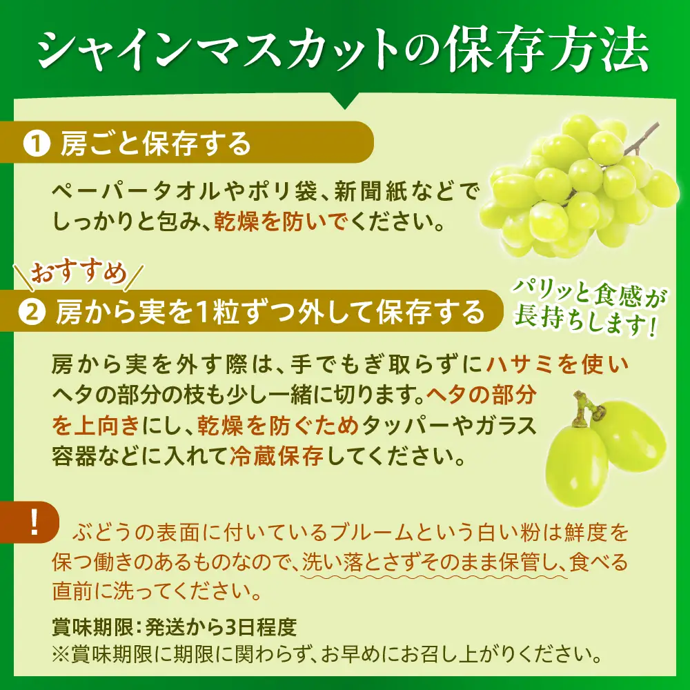 ぶどう シャインマスカット 2-3房 1kg 秀品 令和8年産 ぶどう
