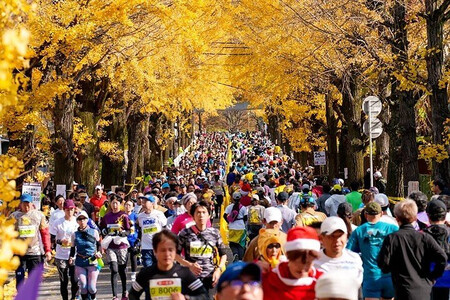 奈良マラソン2026出走権（マラソン種目）1人分