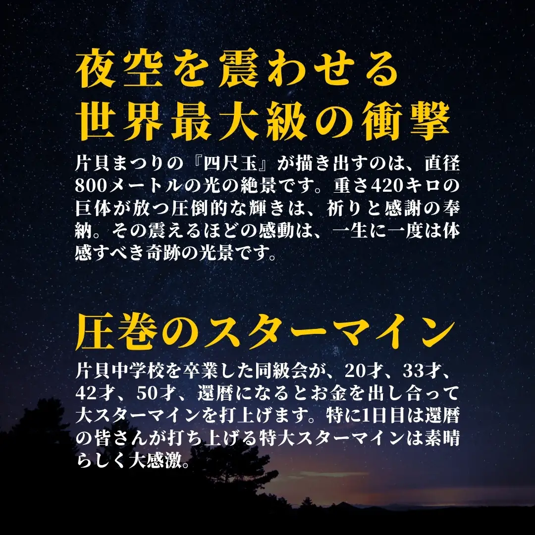 【先行予約 令和8年9月12日(土)】世界一を体感！片貝まつり花火大会 桟敷マス席チケット (最大6名様) | 花火 新潟県 小千谷市