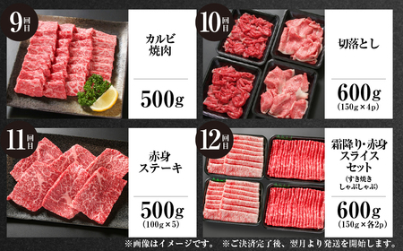 《定期便》全12回 飛騨牛 ざんまい 飛騨高山ミート 飛騨牛 [MZ106]