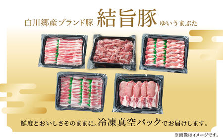 《定期便》全6回 結旨豚 ウデ又はモモ 切り落とし 500g×2パック 冷凍真空パック | 肉 お肉 豚肉 国産 食べ比べ セット 白川郷 岐阜県 白川村 ブランド豚 人気 おすすめ ギフト 飛騨高山ミート 60000円 [MS105]