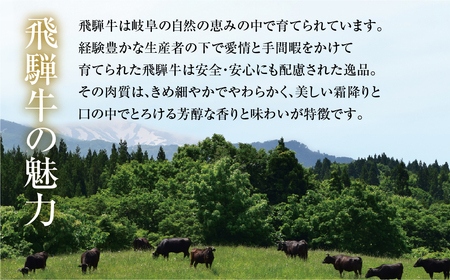 《定期便》全5回 飛騨牛＆ 結旨豚 すき焼きしゃぶしゃぶ 飛騨高山ミート 飛騨牛 [MS107]
