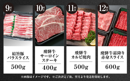 《定期便》全12回 飛騨牛＆ 結旨豚 大容量 飛騨高山ミート 飛騨牛 [MS108]