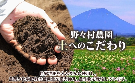 北海道 洞爺湖町産 新じゃがいも とうや 約10kg  Mサイズ以上混載 2026年10月初旬より順次出荷 北海道産 新じゃが じゃがいも ジャガイモ 馬鈴薯 旬 野菜 農作物 送料無料 産地直送 常温 洞爺湖町 