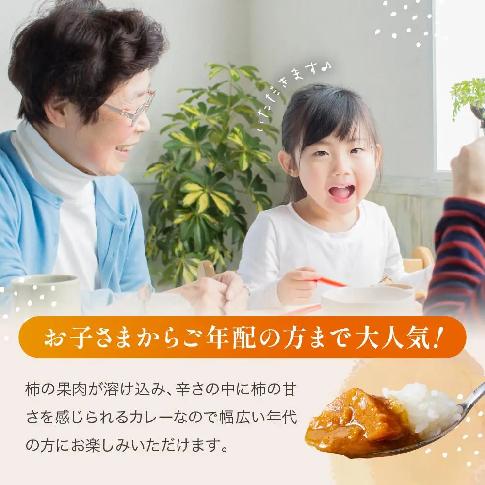 九度山町産 富有柿を使用した 柿カレー 5食入り