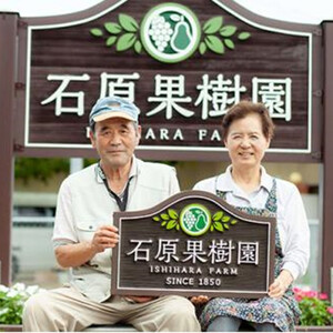 令和7年産 石原果樹園の備前乙女 米  4kg ( 白 米  2kg + 玄米 2kg ) 乳酸菌栽培