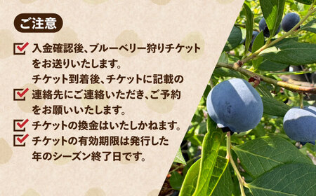 ブルーベリーファーム瑞浪 ブルーベリー狩り 90分 大人(中学生以上) 2名様分 チケット[AZCX001]