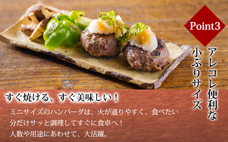 【ふるさと納税】[15,000個突破!!] 便利な小ぶりサイズがたっぷり! 黒毛和牛100% 粗びきミンチの手ごねハンバーグステーキ 75g×20個 国産牛100%  TF0842-P00064