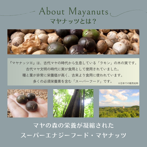 マヤナッツエナジーバーセット！　マヤナッツジョイバー3種の７日間セット 古代マヤから伝わるスーパーエナジーフード オーガニックで無添加 ／送料無料 山梨県 西桂 ふるさと納税 防災用品 栄養補助 エナジーチャージ エナジーバー ナッツバー 健康 おやつ アウトドア キャンプ 心とからだのケアー【n0492_myn】