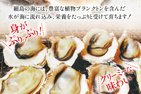牡蠣 細島天照岩牡蠣 2kg 殻付き 【期間限定発送】[一福丸 宮崎県 日向市 452061387]