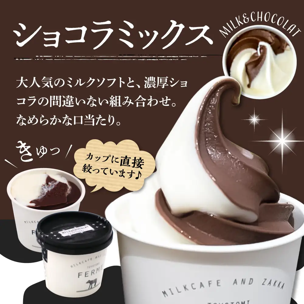【3か月定期便】とよとみ牛乳ソフトクリーム【ショコラミックス 120ml×12個】