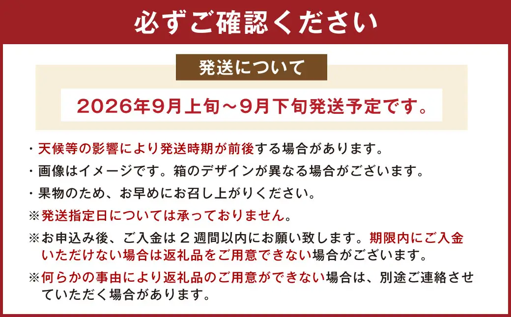福岡県産 極早生みかん 早味かん 約4kg みかん ミカン フルーツ 果物 国産【2026年9月上旬～9月下旬発送予定】