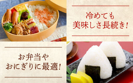 米 令和7年産 にこまる10kg [BAFU001] 米