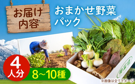 おまかせ野菜セット 4人用 [BAFW001] 野菜詰合せ
