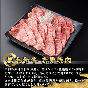 isa691 鹿児島県(カミチクファーム 大口農場)産 黒毛和牛赤身焼肉(計600g・200g×3パック) 黒毛和牛 赤身 焼肉 和牛 国産牛 高級肉 A5 ランク 雌牛 牛肉 焼肉用 BBQ バーベキュー アウトドア キャンプ  高タンパク 冷凍 小分け 【お肉の直売所 伊佐店】