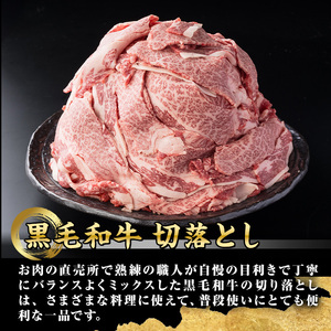 isa692 鹿児島県(カミチクファーム 大口農場)産 黒毛和牛切り落とし(計800g・200g×4パック) 黒毛和牛 切り落とし 和牛 国産牛 高級肉 A5 ランク 霜降り 赤身 牛肉 薄切り スライス 多用途 日常使い ごちそう 人気 おすすめ 高タンパク 【お肉の直売所 伊佐店】