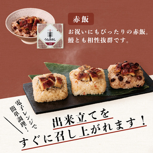 鹿児島県産うなぎ使用！山田のうなぎめし1箱(6食入) うなぎ 鰻 国産 鹿児島 蒲焼き かばやき タレ ご飯 おこわ うなぎめし a3-237
