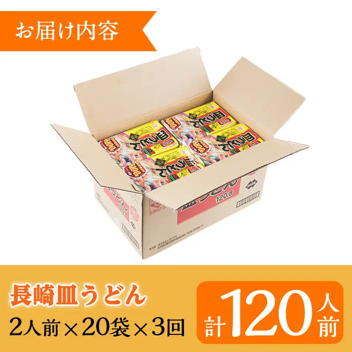 【3か月定期便】長崎 皿うどん 120人前 「2人前(麺100g)×20袋」あんかけ スープ付き 3回お届け！【00-089-06-TK】