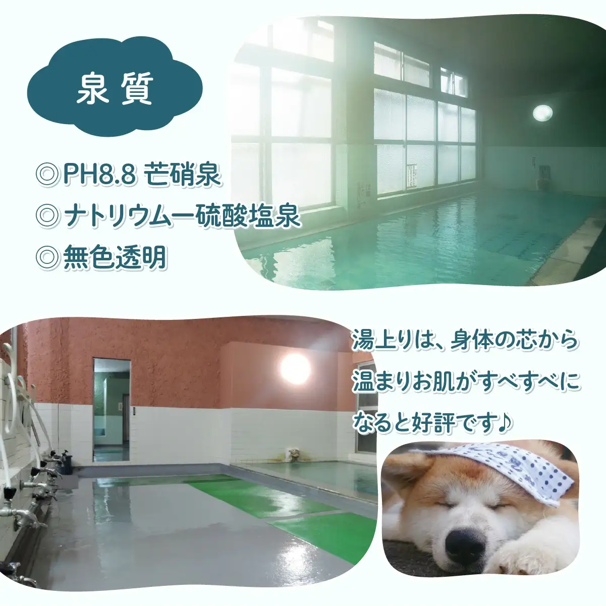 ふるさわおんせん回数券27回　185P8402