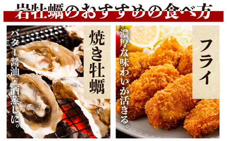 【冷蔵】牡蠣 加熱用 先行予約 岩牡蠣 2kg eb-0034