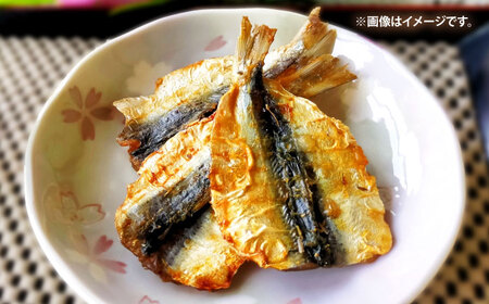 壱岐の海の幸 干物セット《壱岐市》【壱岐市農業協同組合】あじ アジ 鯵 かます カマス いか イカ 烏賊 干物 ひもの 干物セット 冷凍配送[JBO153]