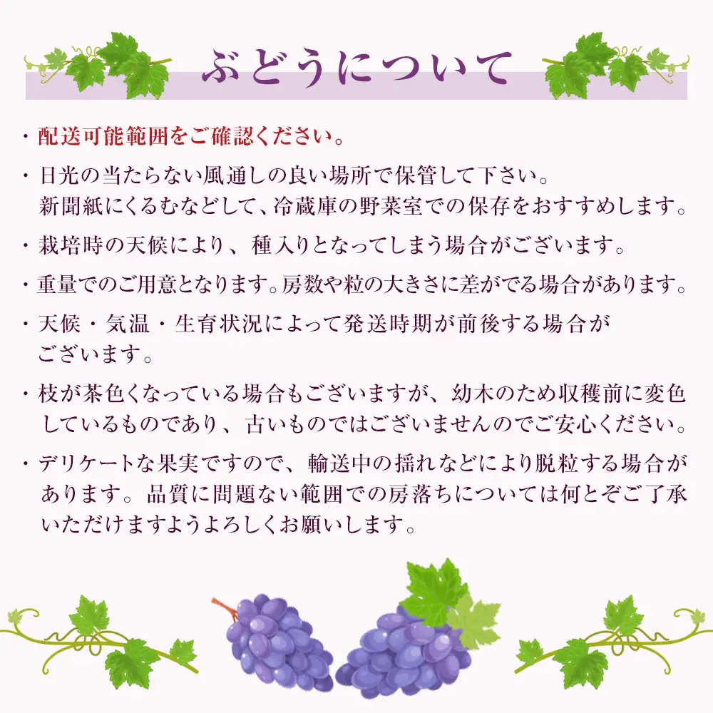 クイーンルージュ2kg　3-5房