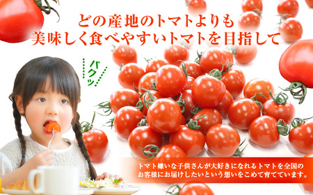 定期便 ≪3ヶ月連続お届け≫ フルーツミディトマト 約1kg × 3回 トマト 野菜 [m37-a027]