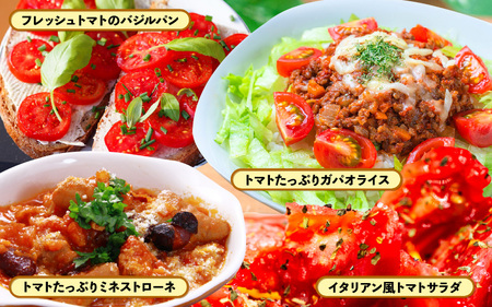 定期便 ≪12ヶ月連続お届け≫ フルーツミディトマト 約2kg(1kg×2箱）× 12回 トマト 野菜  [m37-l001]