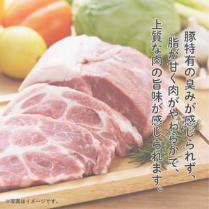 SPF豚のローストポーク（タレ付き）　750g（150g×5パック） ／ 豚 豚肉 SPF豚 SPFポーク ローストポーク