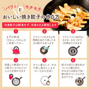 【4回定期便】本店鉄なべ冷凍しそぎょうざ48個入り【040-0010】