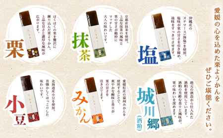 ＜想い栗 栗ようかん 6種セット 合計6個入り＞ 栗 くり クリ 羊羹 くりようかん 栗羊羹 栗 6種類 スイーツ おやつ お菓子 和菓子 食べやすい セット 詰合せ プレゼント 贈り物 贈答 城川ファクトリー 愛媛県 西予市【常温】『1か月以内に順次出荷予定』SSF0031