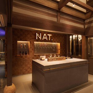 【定期便６回】クラフトビール NAT.BREWおまかせ 6本セット 飲み比べ 発泡酒 季節限定