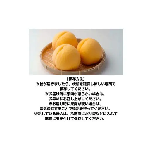 家庭用 黄金桃 5～6玉 約1.3kg 岡山県産　【先行予約 2026年8月下旬から順次発送】