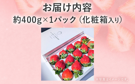 【2027年発送先行予約】プレミアム あまおう EX（化粧箱入り）いちご フルーツ 果物 あまおう 約400g×1パック 苺 イチゴ ギフト 贈答用 贈り物 お祝い 祝い 化粧箱 福岡【発送時期2027年2月上旬～2027年4月上旬】