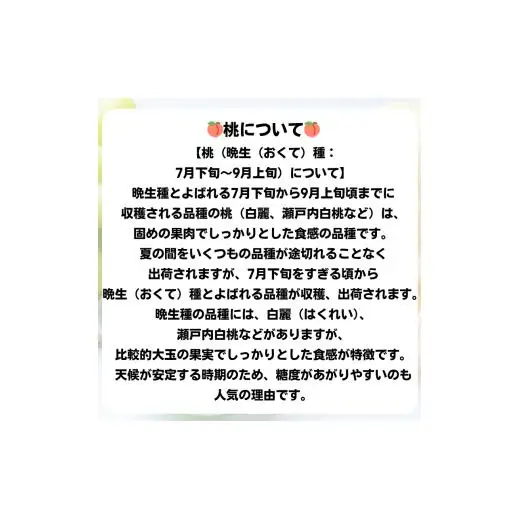 詰合せ 白桃 晩生種 2玉 シャインマスカット 1房 合計約1.0kg 岡山県産 【先行予約 2026年8月下旬から順次発送】