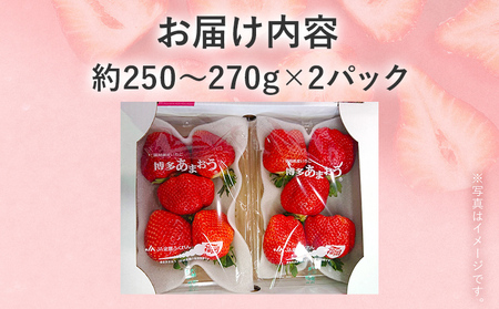 【2027年発送先行予約】厳選大粒あまおう(約250～270g×2パック) いちご フルーツ 果物 あまおう 苺 イチゴ ギフト 大粒 福岡【発送時期2027年2月上旬～2027年4月中旬】