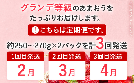 【2027年発送先行予約】あまおう2パック×3回発送定期便 (2月、3月、4月発送) 定期便 約250‐270g×2パック いちご フルーツ 果物 あまおう 苺 イチゴ 福岡【発送時期2027年2月、3月、4月】